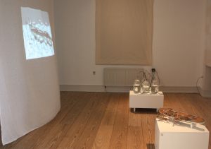 Destroying Beauty med Nina Maria Kleivan i video, vind, lyd og objekter 2015-16