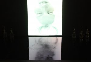Water Marks 2011, video og vand, med Nina Maria Kleivan i Kunsthal Nord Aalborg